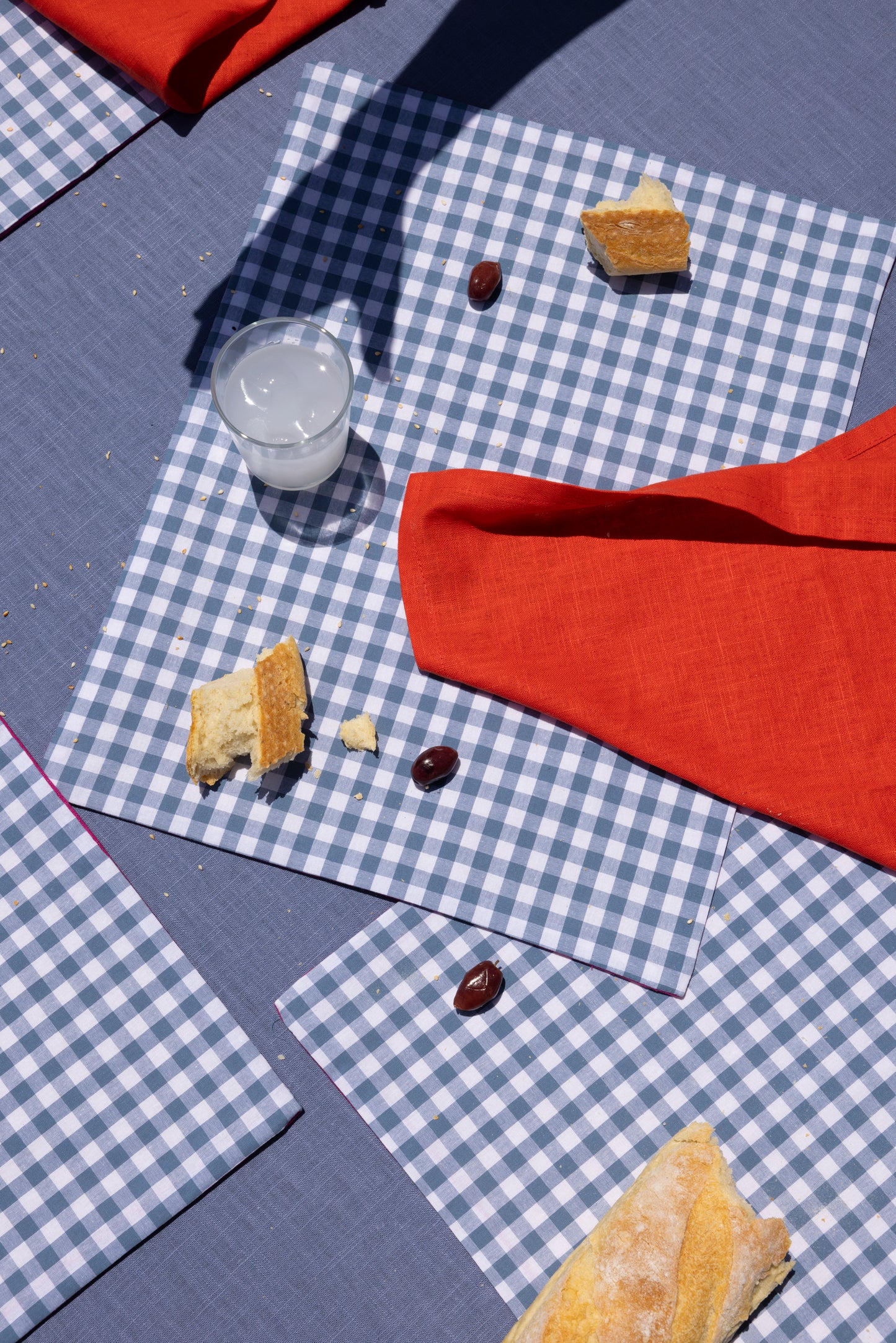 ash blue gingham x fuchsia placemat