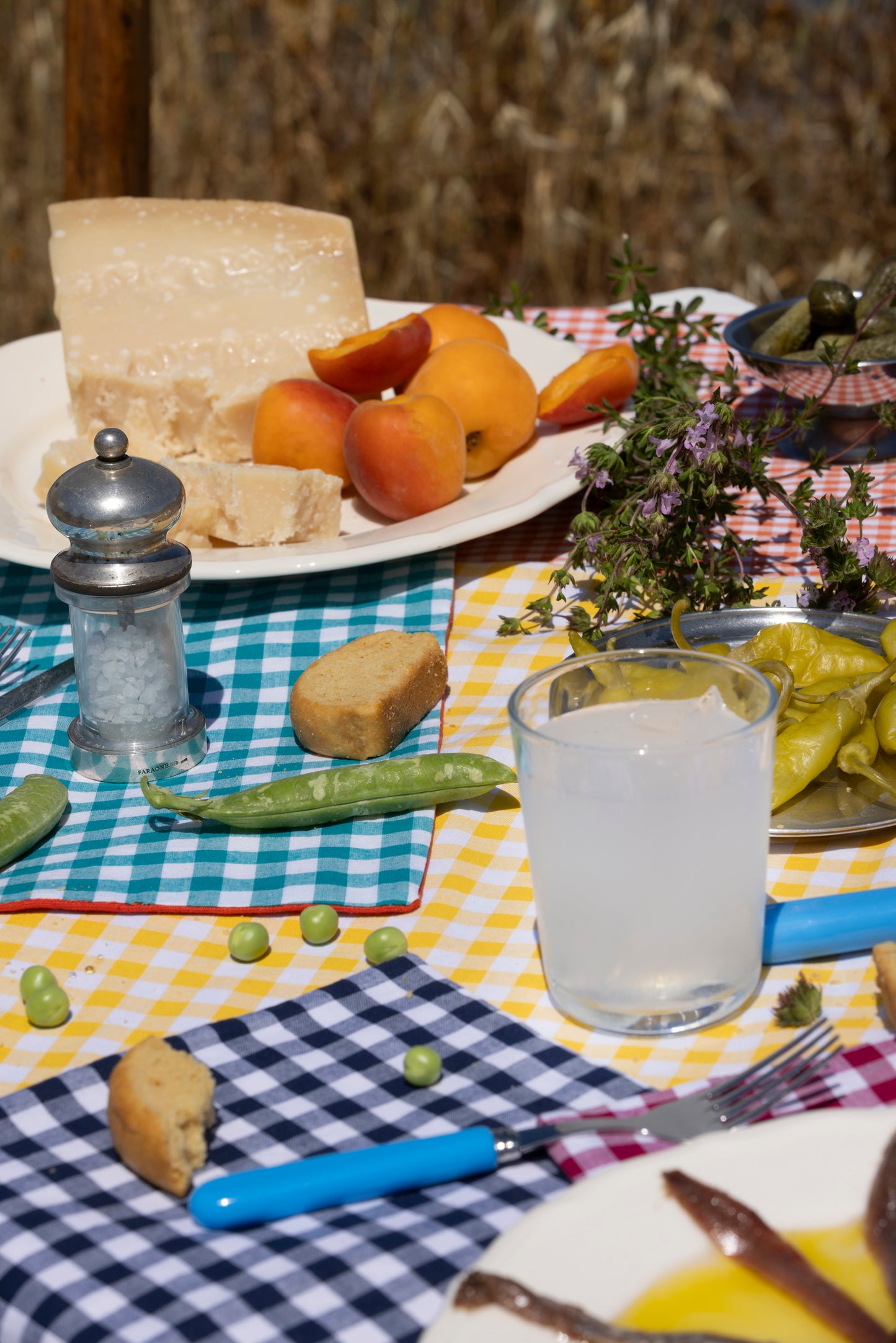 petrol gingham x orange placemat