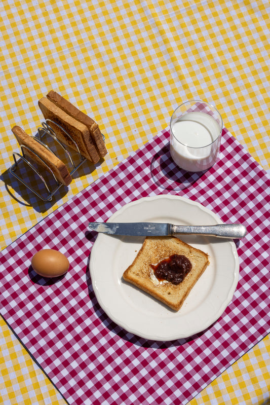 berry gingham x indigo placemat