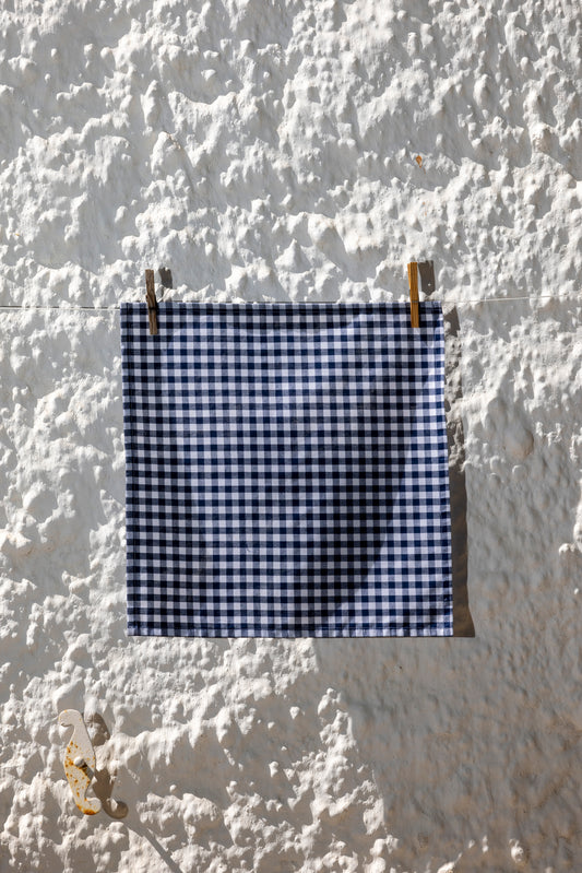 navy gingham napkin